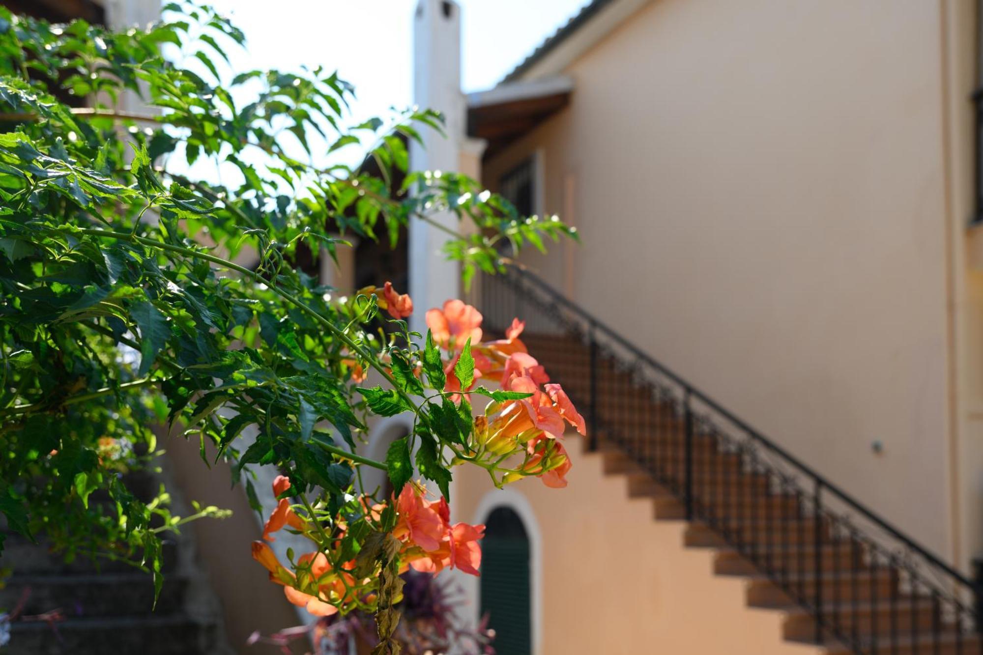 Xenia'S Apartments In Alepou Corfu  Exterior foto